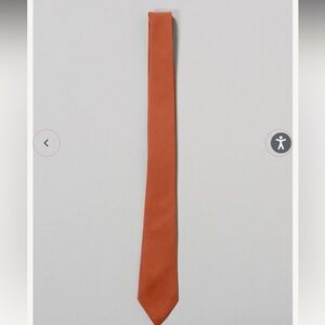 Reverly Rust Orange Chiffon Tie